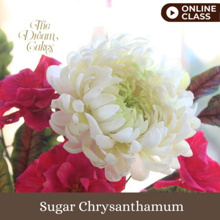 Sugar Chrysanthemum