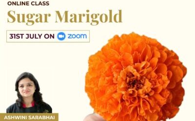 Sugar Marigold