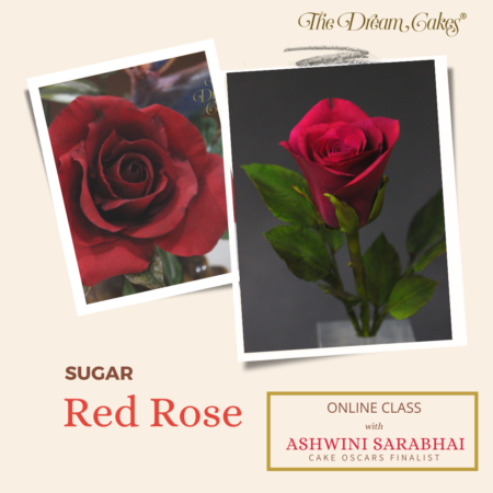 Sugar Red Rose